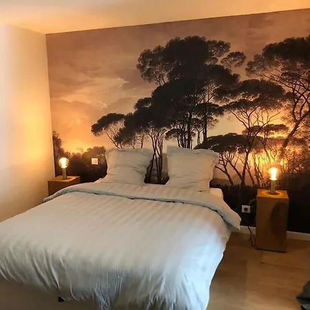 Rez-de-jardin A 15 Min De Paris Alfortville